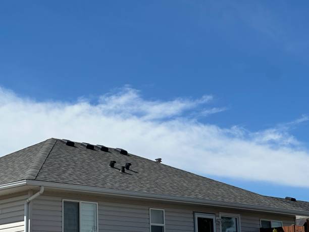 Best Roof Leak Repair  in Bridgeville, PA